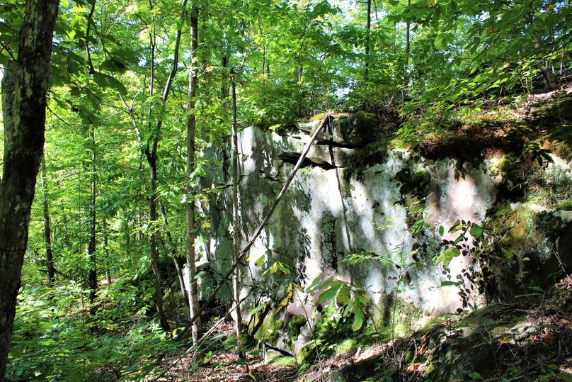 021 an impressive rock face in the northern area near the center of the property