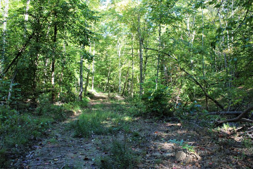 025 more of the good trail network about the property