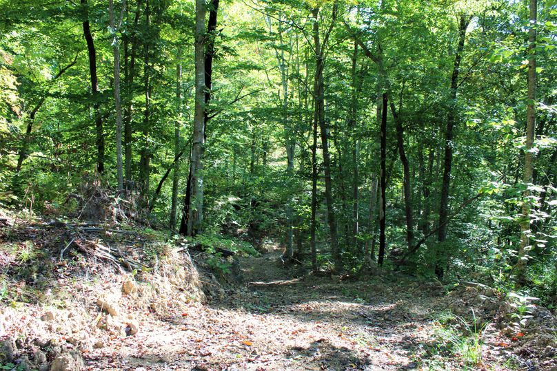 024 some of the good trails leading about the property