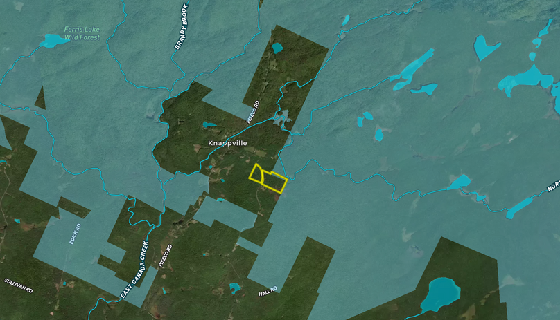 Fulton County NY 50.8 Coco Map showing State Forrest