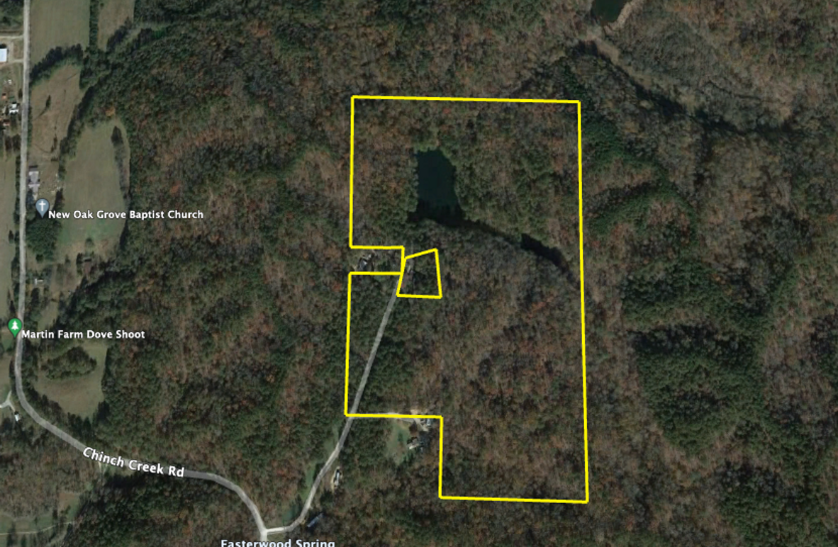 Screen Shot 2022-12-05 at 2.47.46 PM