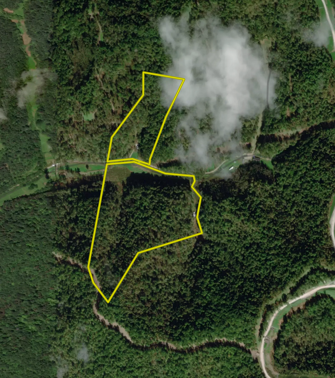 Screen Shot 2022-12-03 at 1.25.53 PM