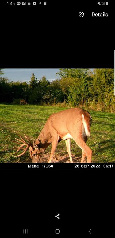 Resized_Screenshot_20190814-014527_Gallery