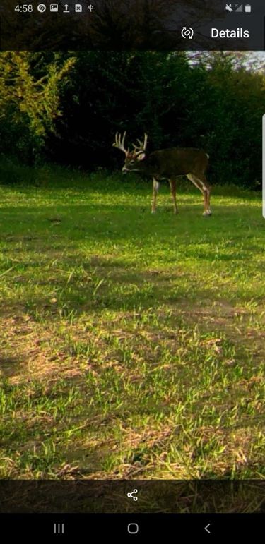 Resized_Screenshot_20190814-045814_Gallery