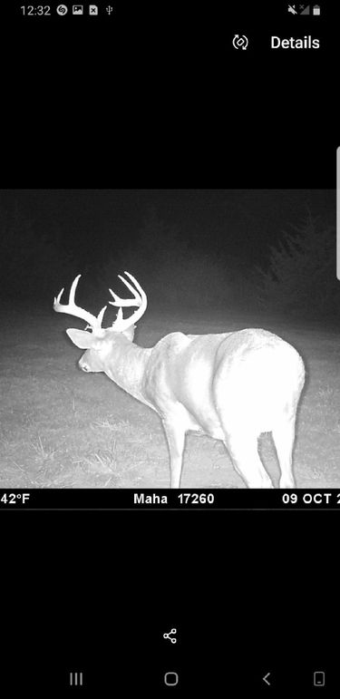 Resized_Screenshot_20190824-123236_Gallery