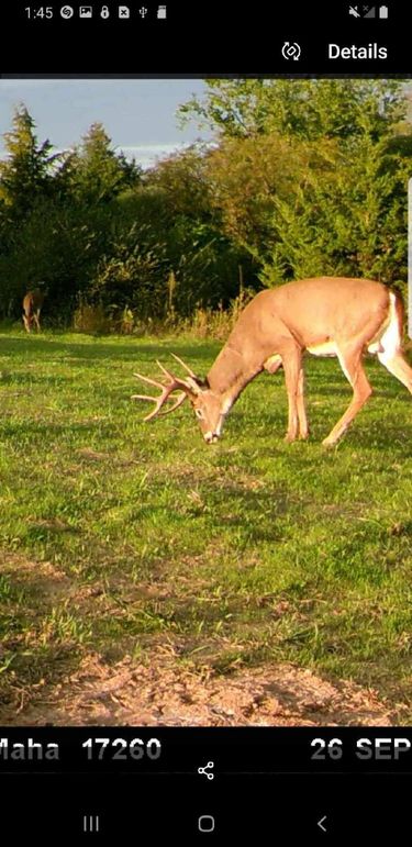 Resized_Screenshot_20190814-014538_Gallery