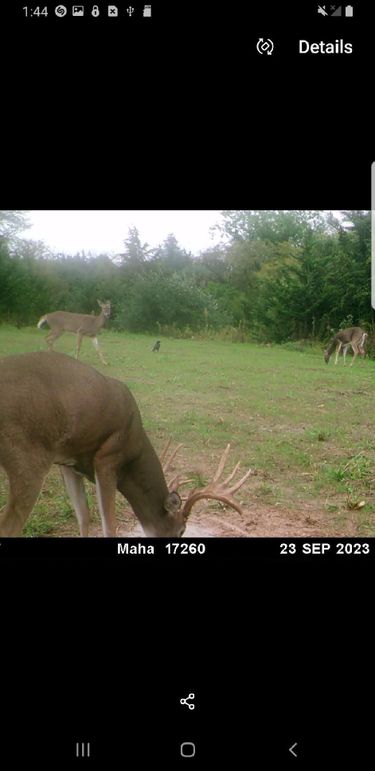 Resized_Screenshot_20190814-014425_Gallery