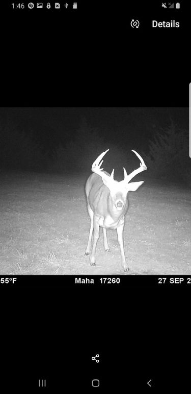 Resized_Screenshot_20190814-014633_Gallery