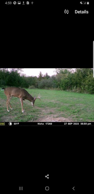 Resized_Screenshot_20190814-045924_Gallery