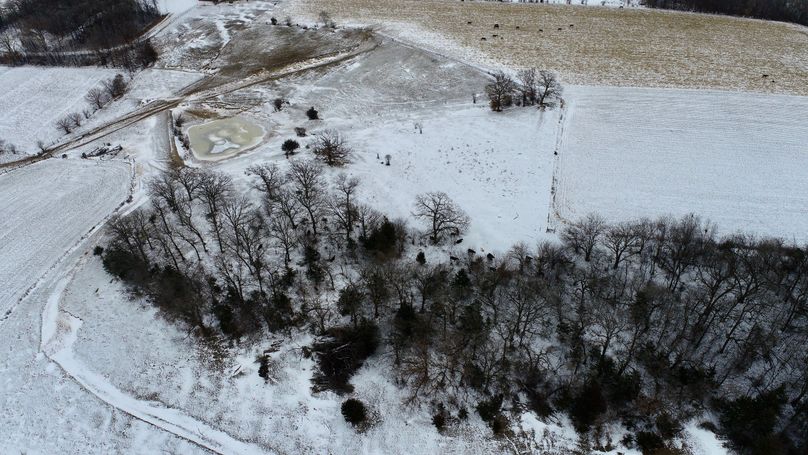 DJI_0352