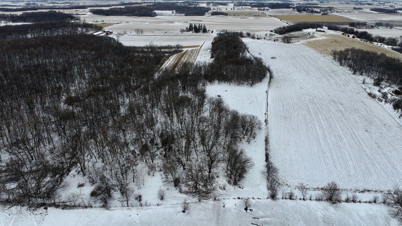 DJI_0356