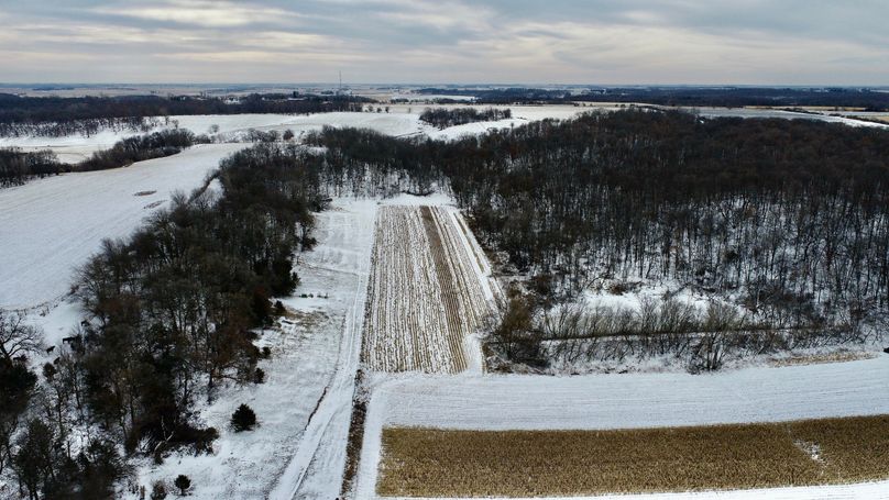 DJI_0376