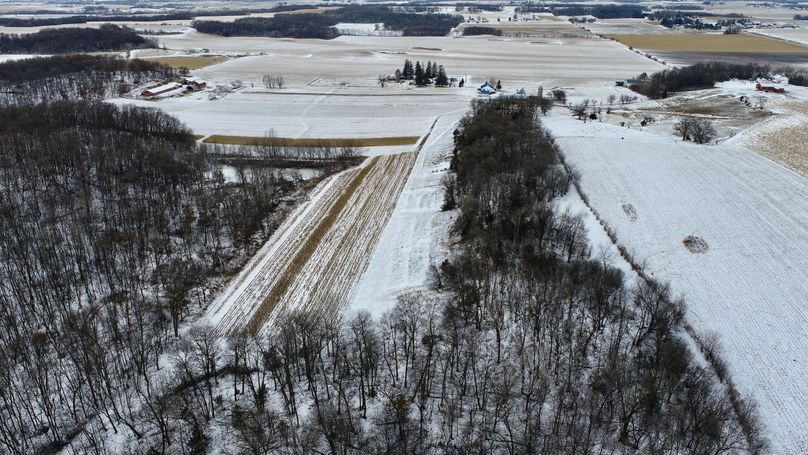 DJI_0355