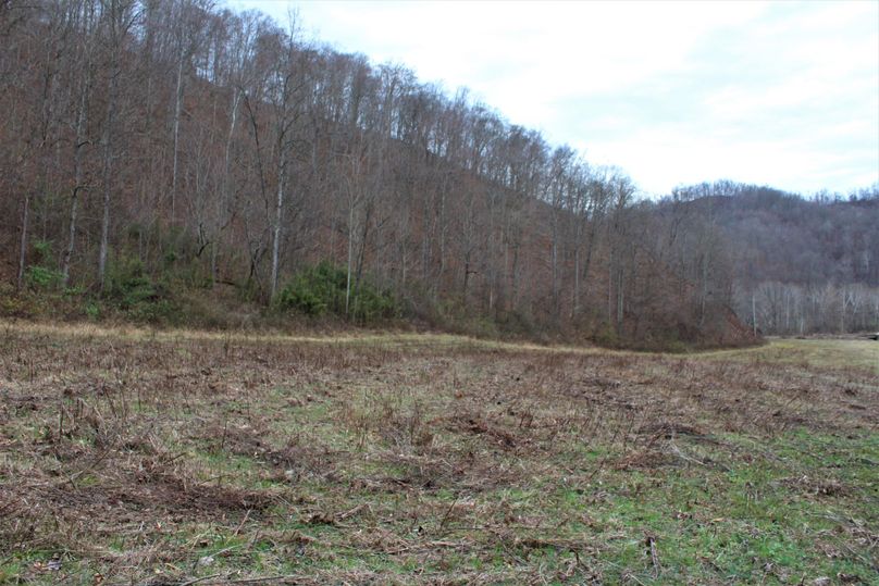 009 open field area and point running to the east