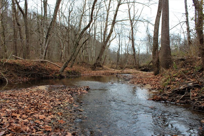 020 Frozen Creek along the far southwest boundary