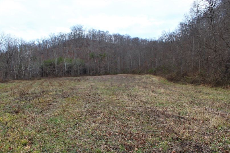 007 the large open field along the east side of Frozen Creek