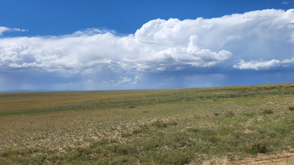 Recreational Or Building Lot Whitetail Properties