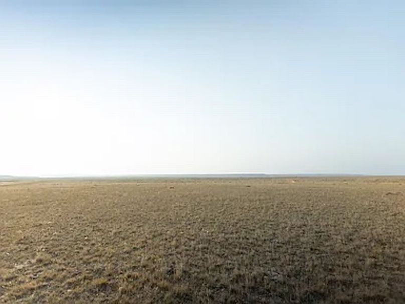 fe6a548134e6c3779fc46e2728623fa5-cc_ft_384