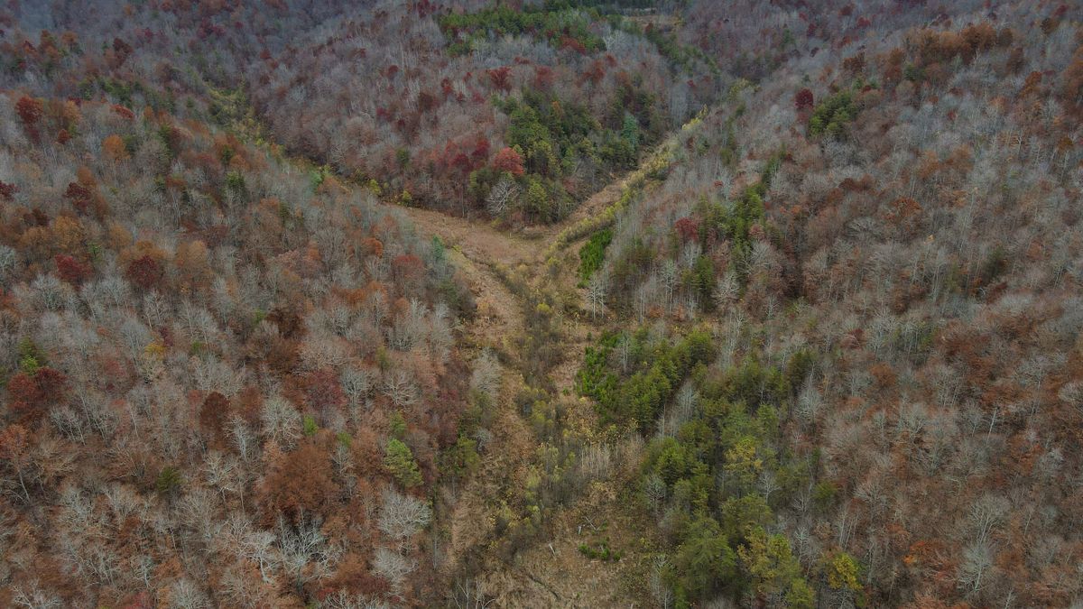 Beautiful Recreation Tract In The Appalachian Foothills Whitetail