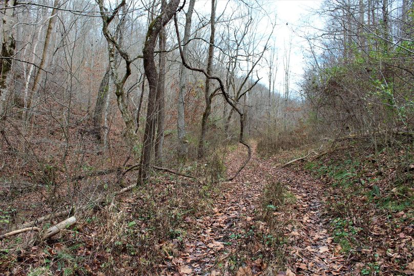 008 the main trail_road leading up the valley to the east