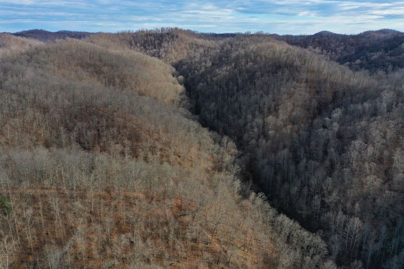 014 close up aerial view of the main forested valley