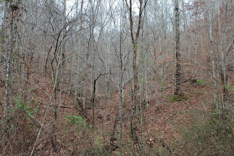 012 drainage leading north off of the main valley