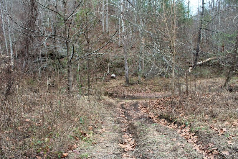 006 the easement area where it crosses the creek