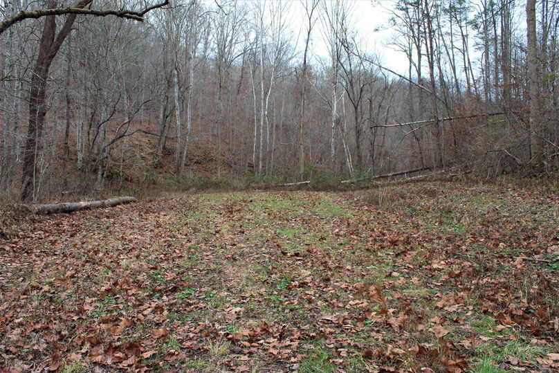 005 upper edge of the main field where it goes up the valley