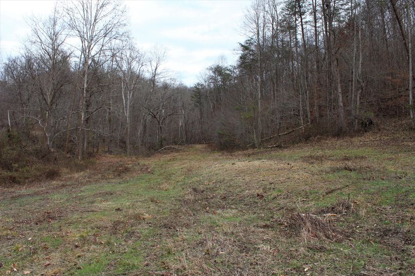 017 northern area of the main field