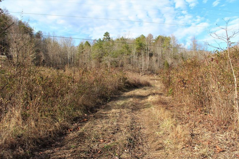 018 the easement leading from KY 378