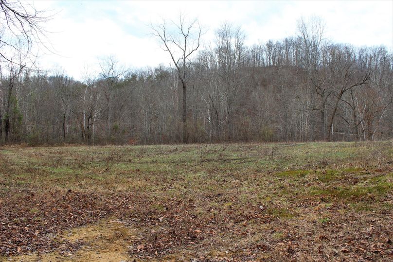 011 the small north field along the west boundary