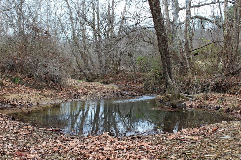 002 Duck Fork creek running along the west edge of the property