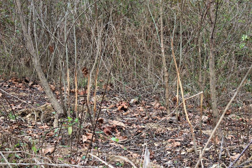 010 if you know...you know!