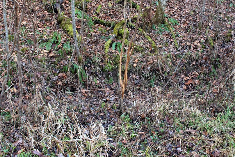 022 yeah, there are deer here