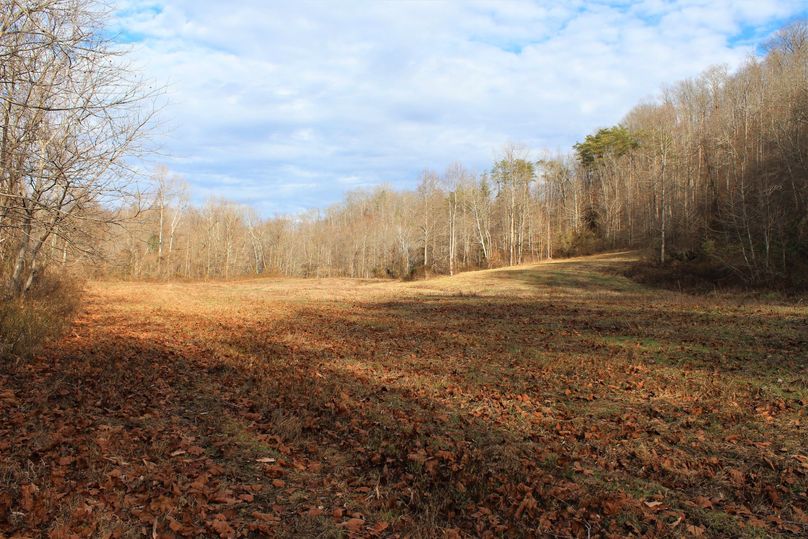 001 view from the south end of the field looking northeast