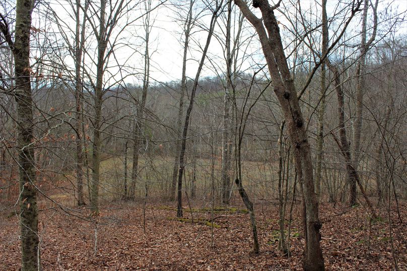019 view from the timber looking southwest over the northern field