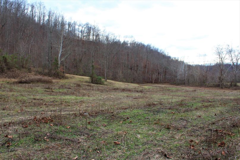 026 view from the north area of the main field