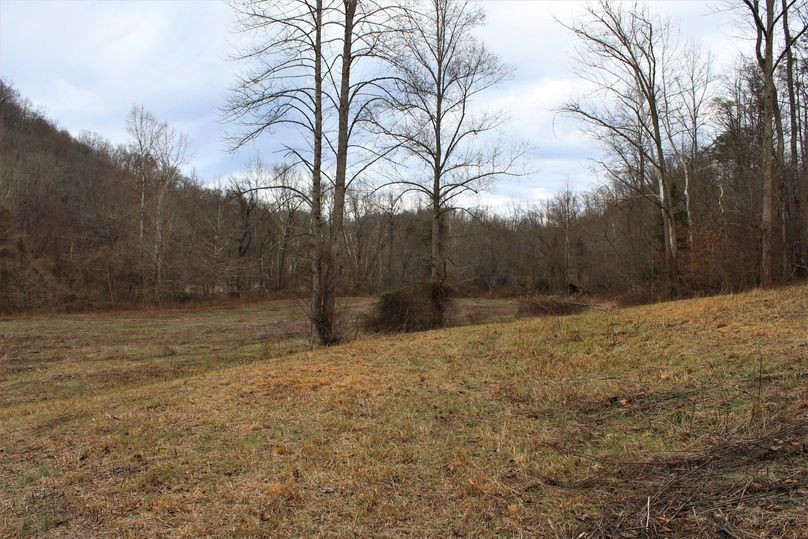 023 view to the northwest from where the old farmhouse use to stand