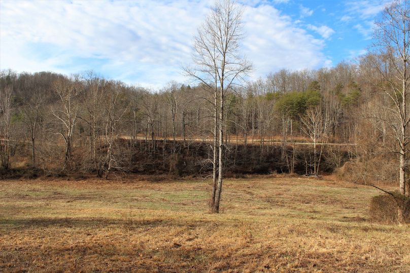 015 view to the west from where the old farmhouse use to stand