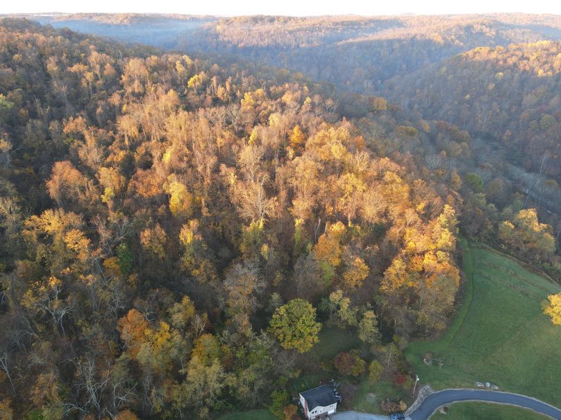 dji_fly_20221025_080056_139_1666699280028_photo