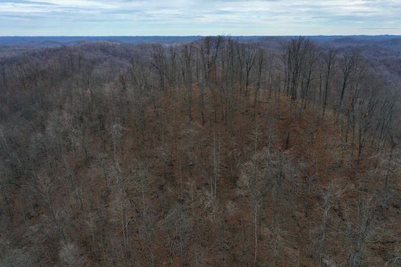 010 aerial drone shot of the high knob at 1340_ elevation along the southeast boundary