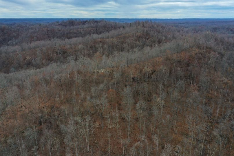 006 aerial drone shot from the center of the property looking west across the northwest point