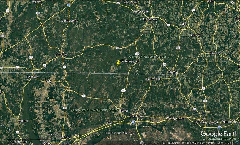 Aerial #7 Approx. 37 Acres Covington County, AL
