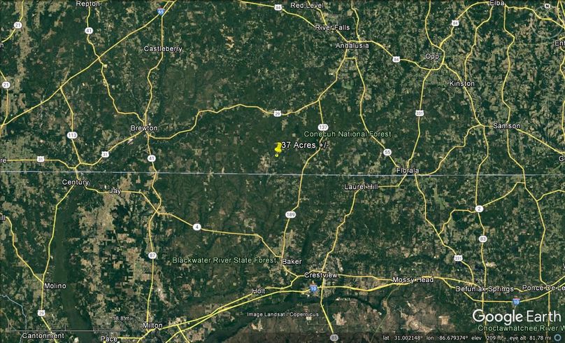 Aerial #7 Approx. 37 Acres Covington County, AL