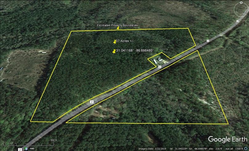 Aerial #2 Approx. 37 Acres Covington County, AL