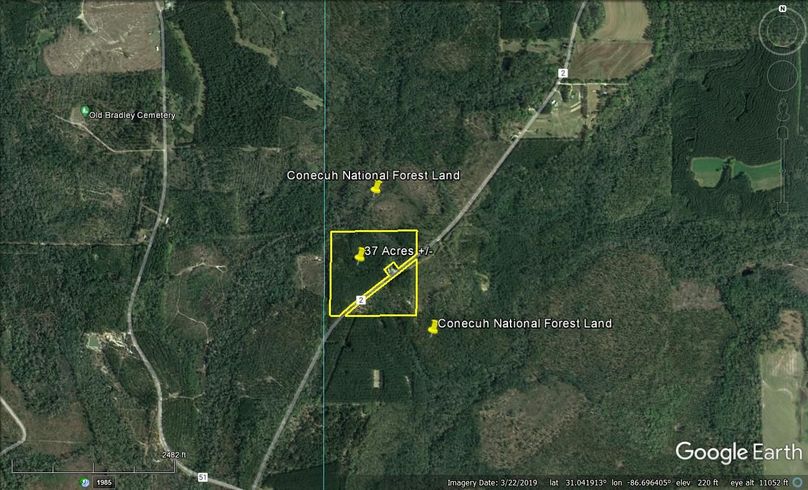 Aerial #6 Approx. 37 Acres Covington County, AL
