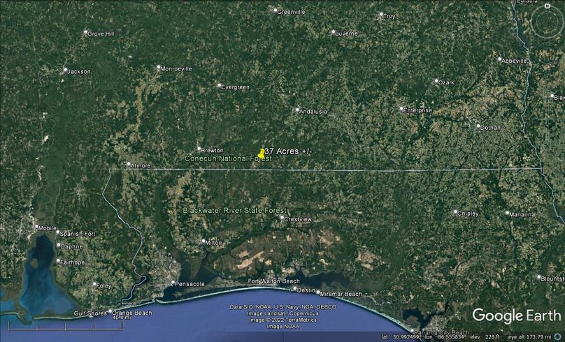 Aerial #8 Approx. 37 Acres Covington County, AL