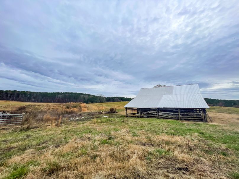 Copy of FC9CF9DC-27E7-4610-902A-C82EA59C6649