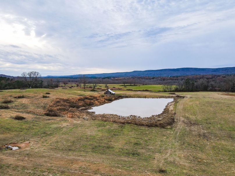 Copy of 628FE8AF-8064-45A9-952A-DDA662D46500