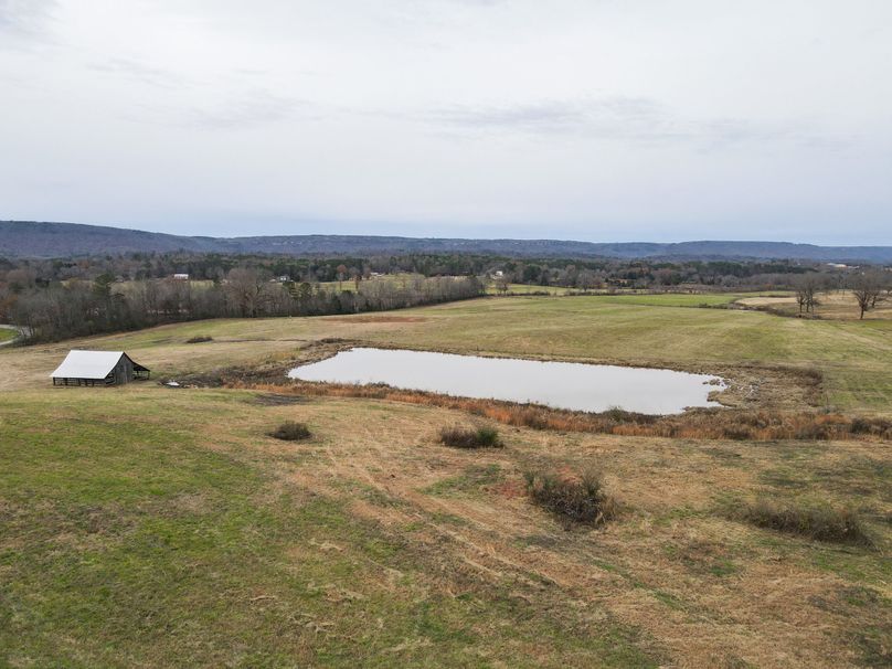 Copy of D3DA0188-0A18-4E33-8067-7B45E8D939FA